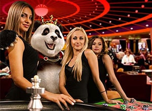 Royal Panda Live